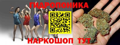 синтетический гашиш Заводоуковск