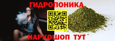spice Жуковский